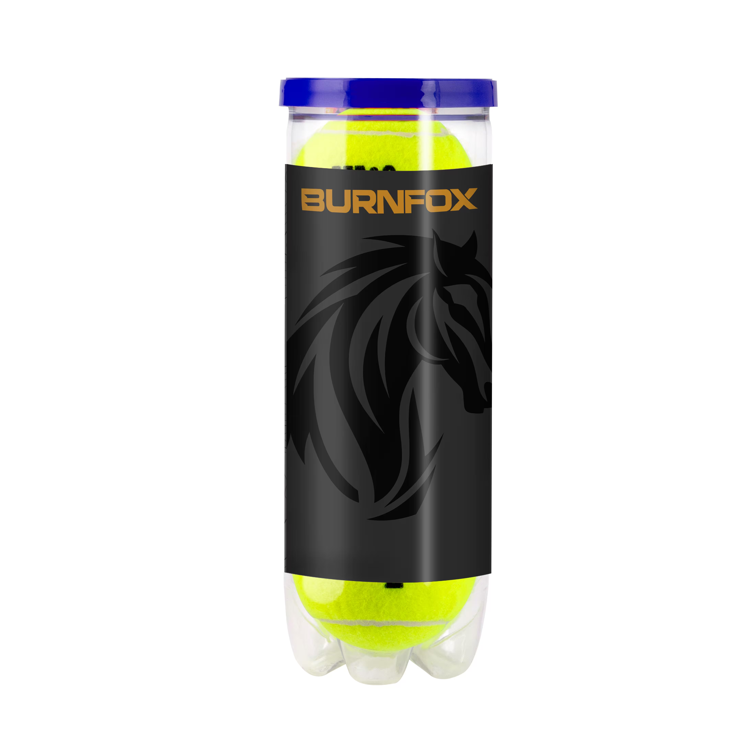 Wilson Roland Garros Tennisbälle