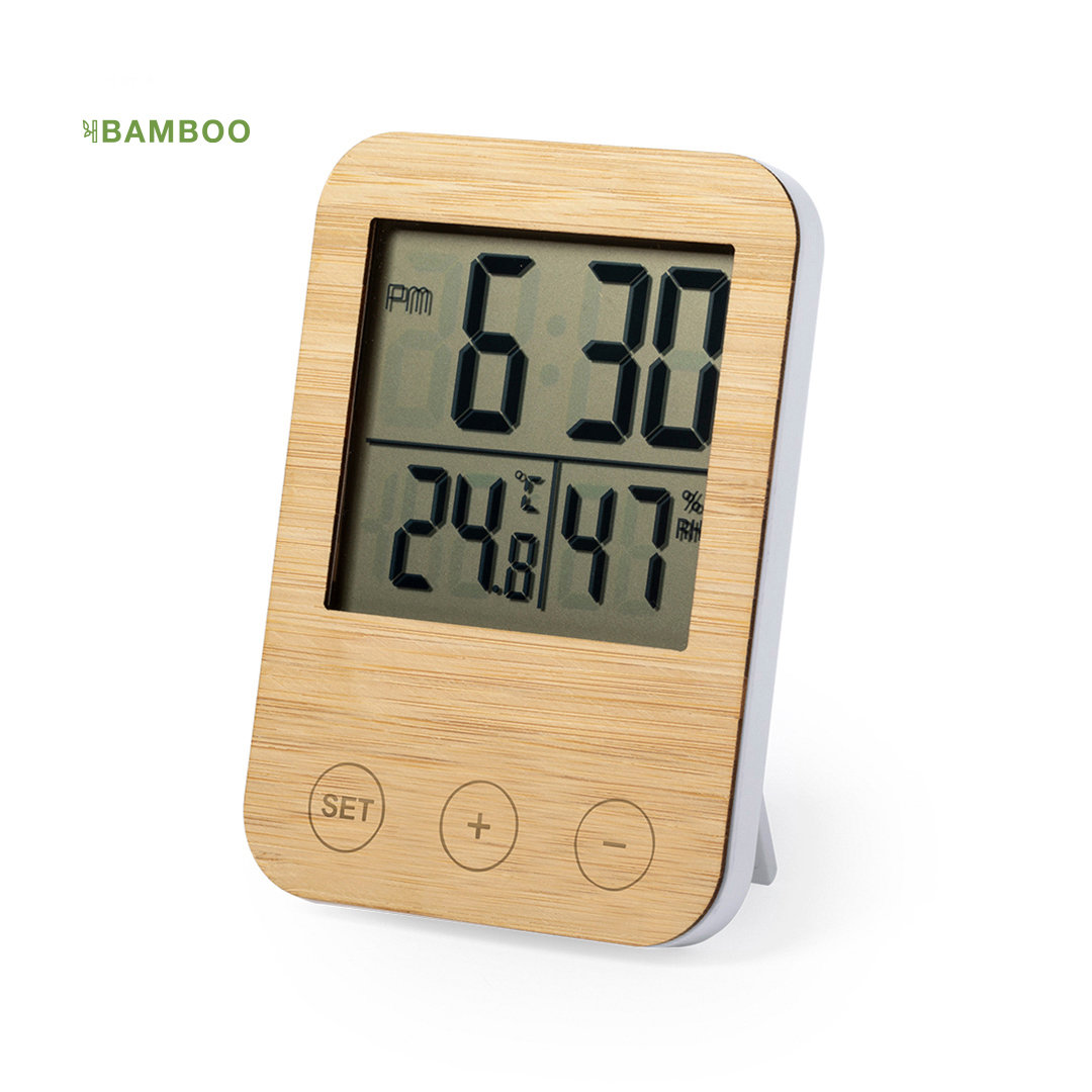 Bamboo Weather Station - Scarborough