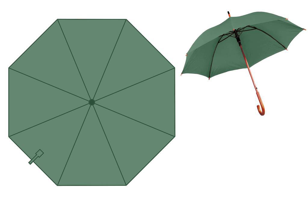 Automatic Telescopic Umbrella with Wooden Handle - Basildon