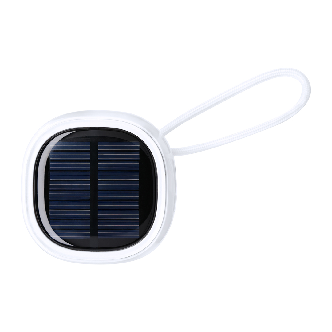 EcoSun Solar Speaker - Washington