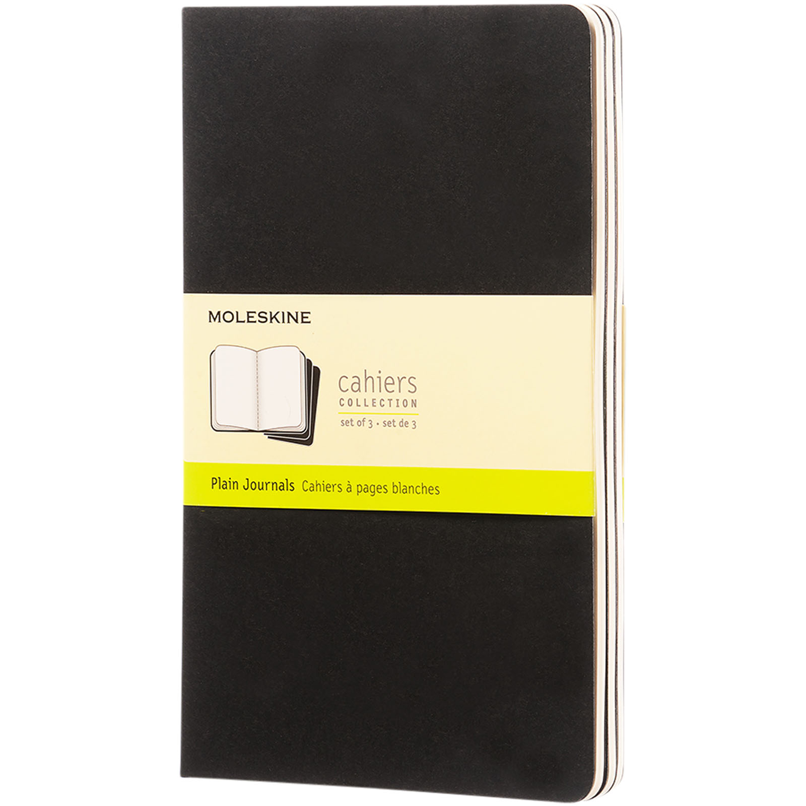 Moleskine Diary Notebook L