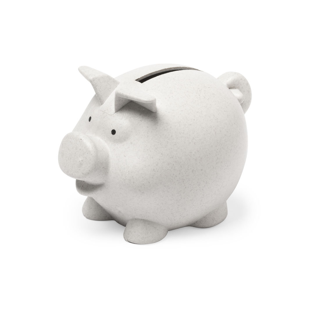 Eco-Friendly Piggy Bank - Oswestry