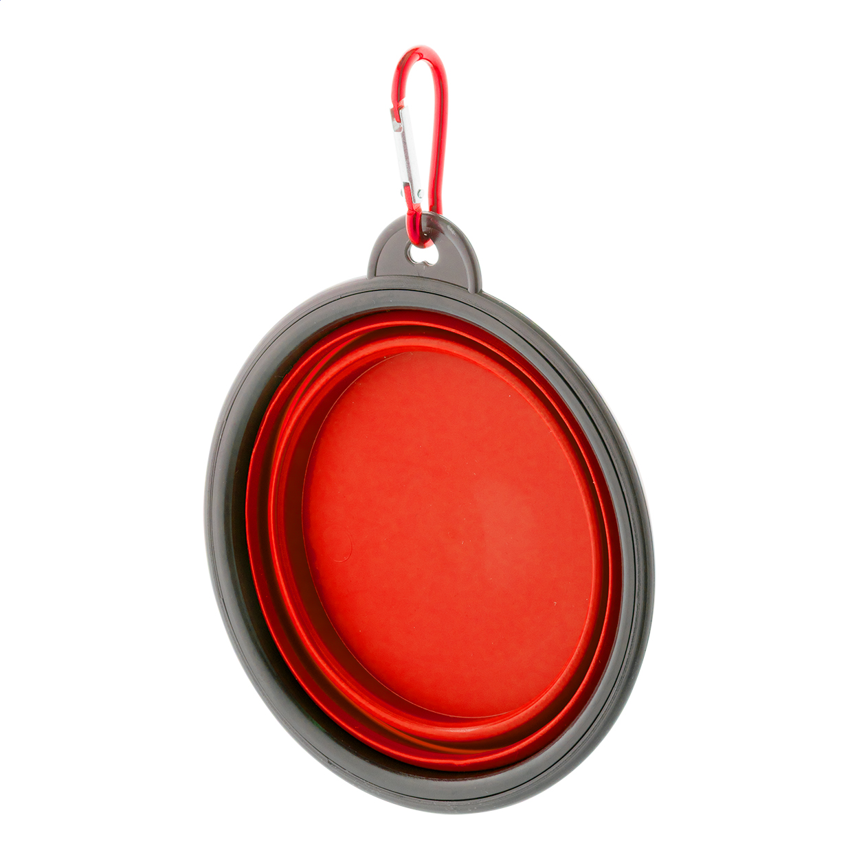 Foldable Canine Dish - Woking