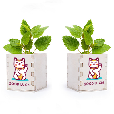 Peppermint Planter Set - Butterton