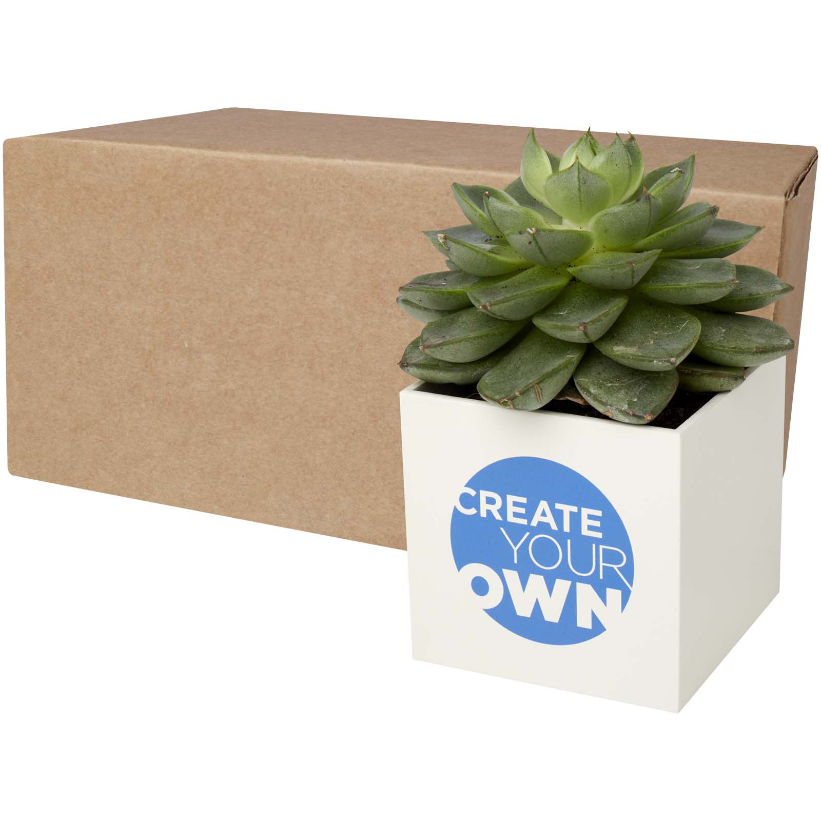 Hallo Pflanzkübel - Ornbau