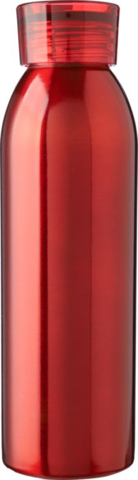 Stainless Steel Hydration Bottle 650 ml - Charmouth