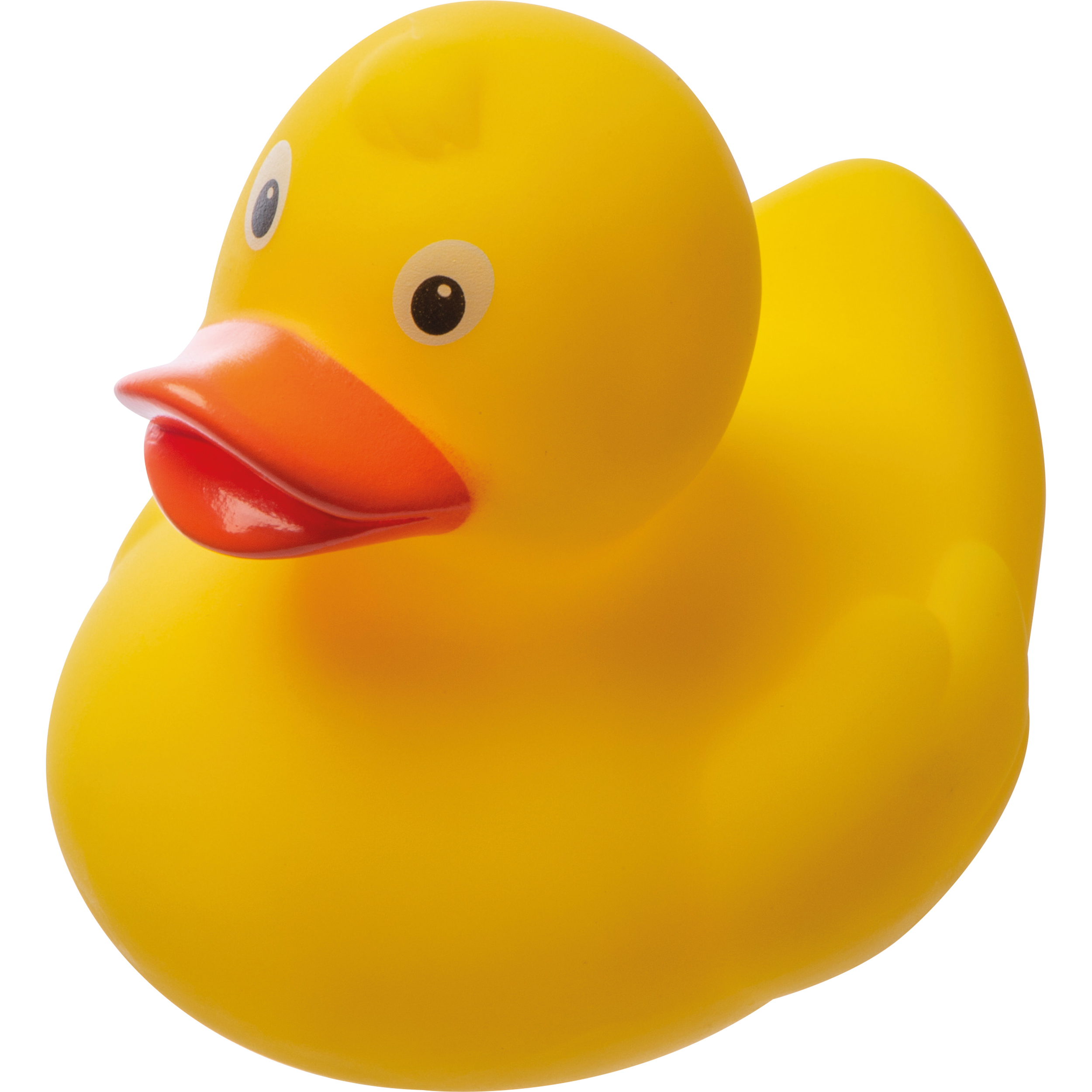 QuackSqueeze - Aldbourne - Godalming