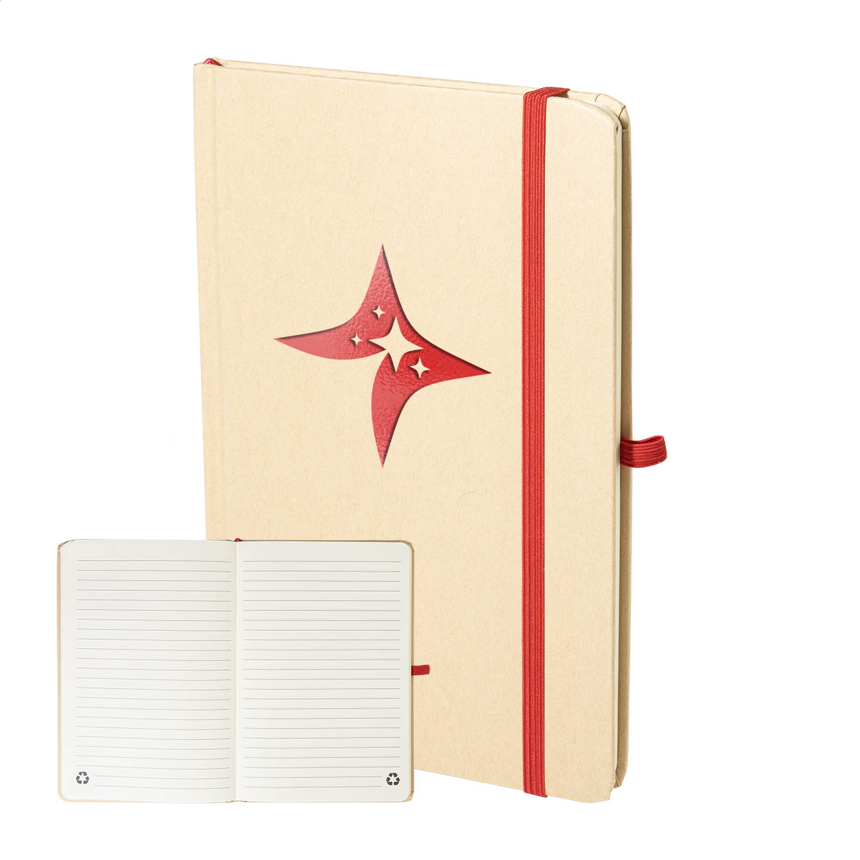 ShimmerReveal A5 Notebook - Pevensey *Pickering printed with logo