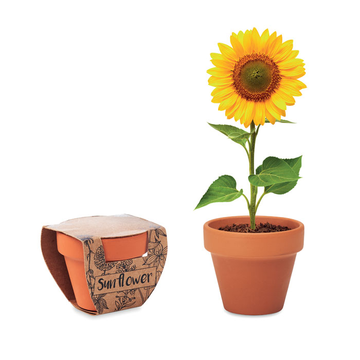 Personalisiertes Sonnenblumenkerne-Töpfchen - Fure