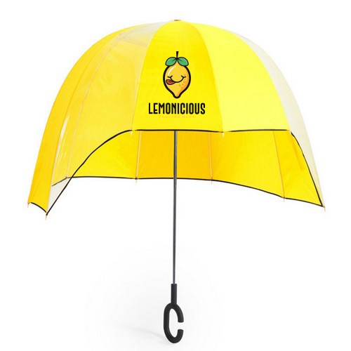 Transparent 10-Panel Extra-Long Umbrella - Letcombe Bassett