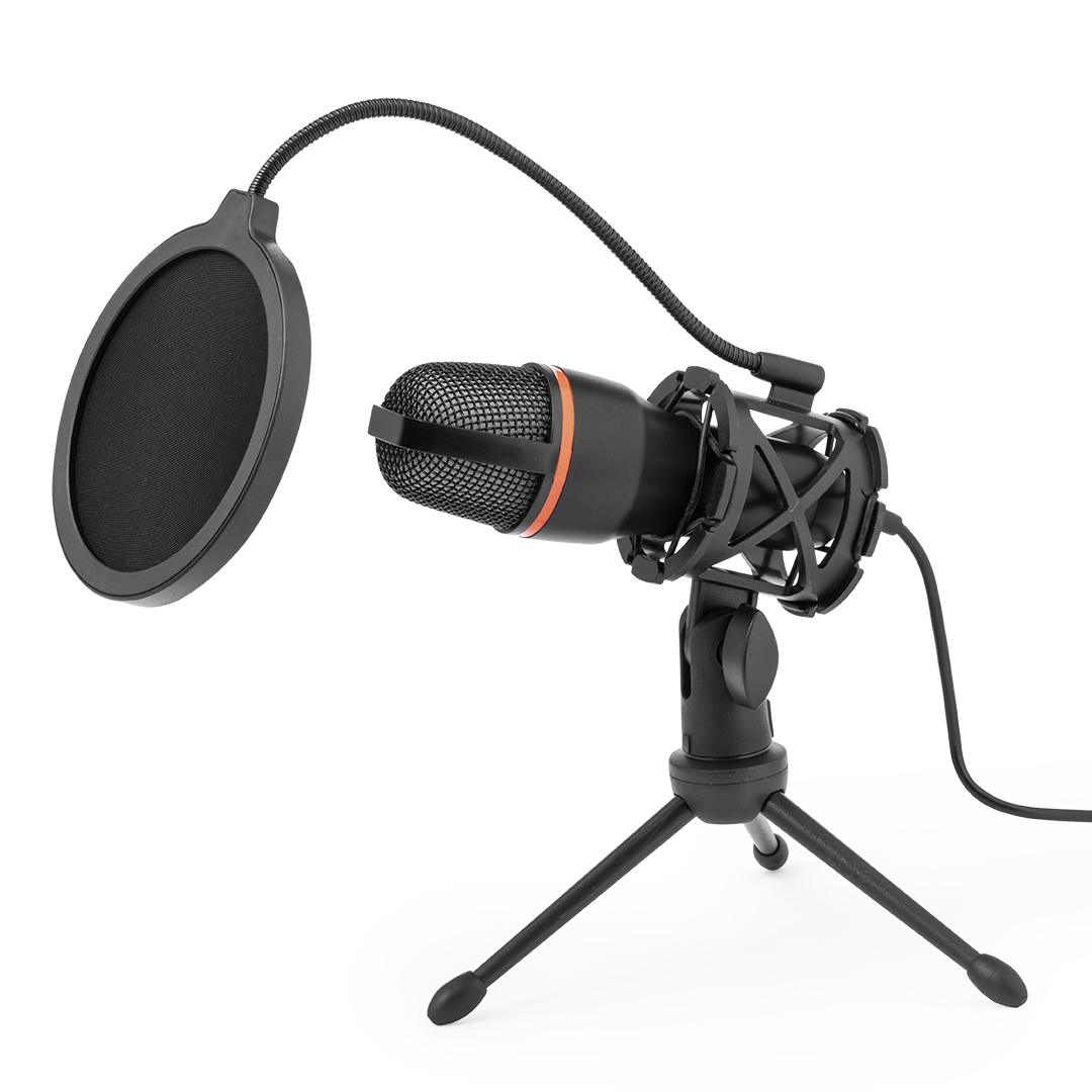 Train Condenser Microphone - Bicester