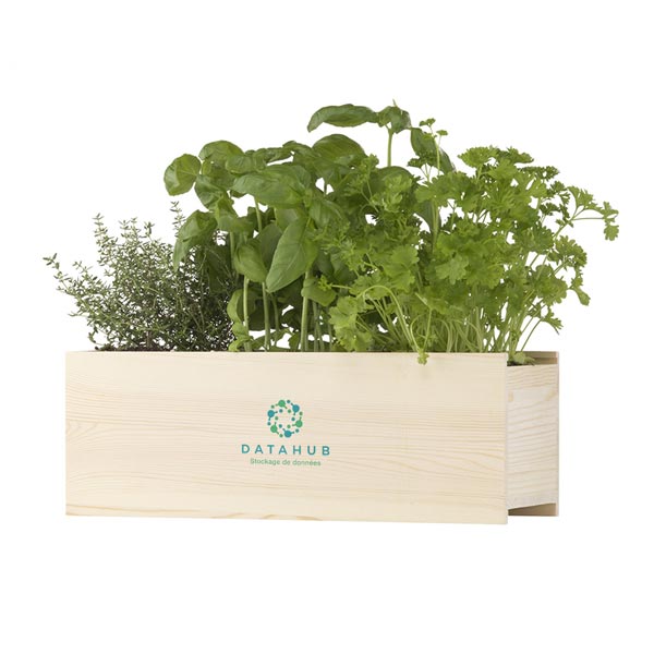 Personalisierte Gartenartikel - | Zaprinta