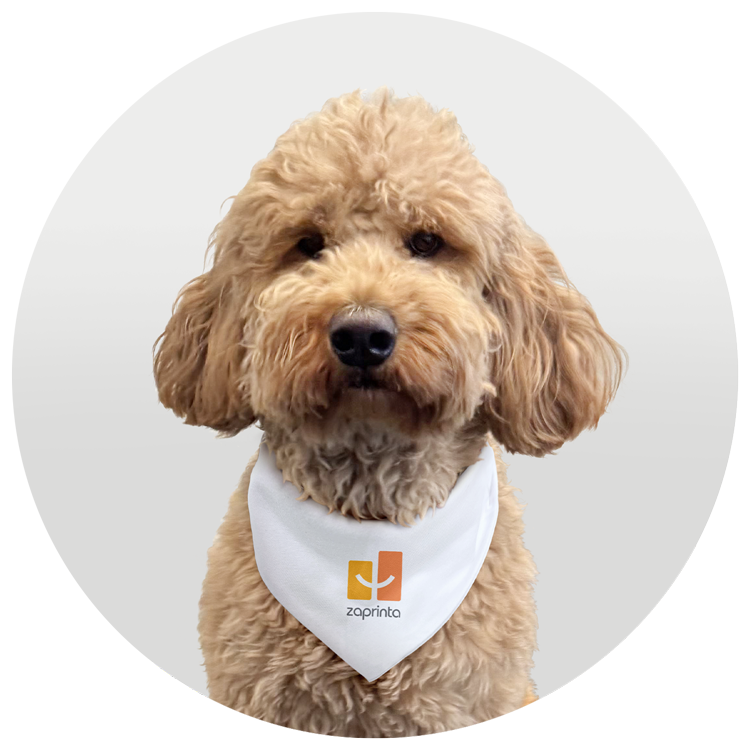 Moretti – Kundendienst